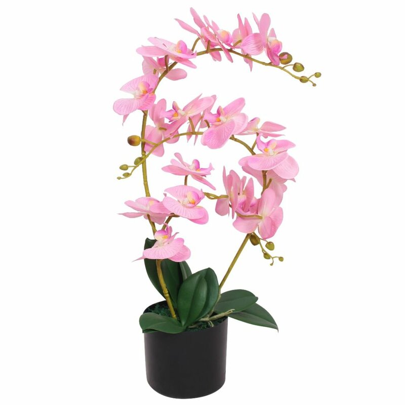 The Seasonal Aisle Floor Flowering Orchid Plant in Pot & Reviews